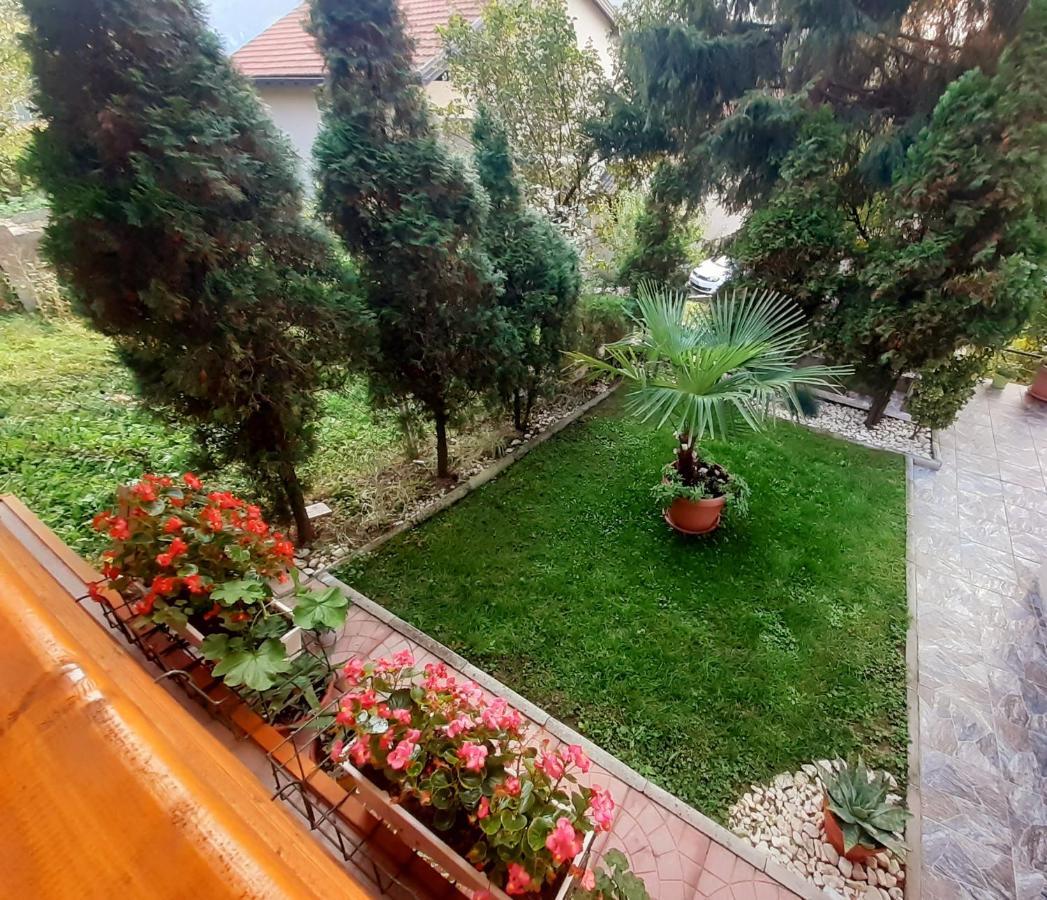 Obiteljski Apartman Borovi ヴィソコ エクステリア 写真