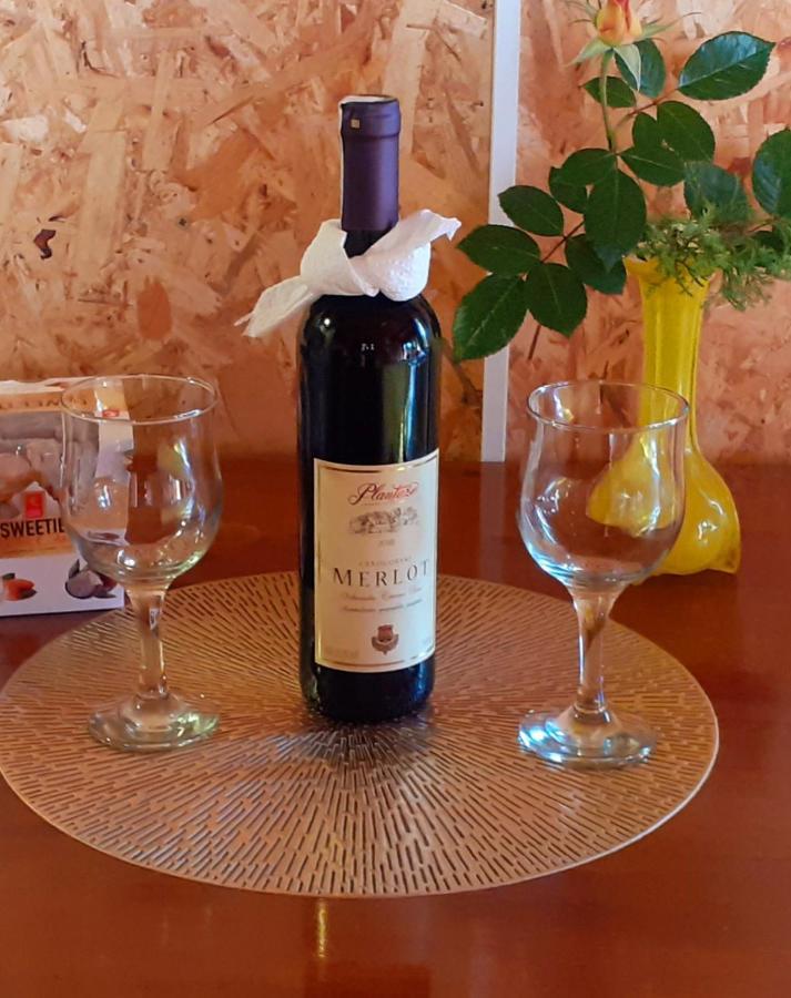 Obiteljski Apartman Borovi ヴィソコ エクステリア 写真