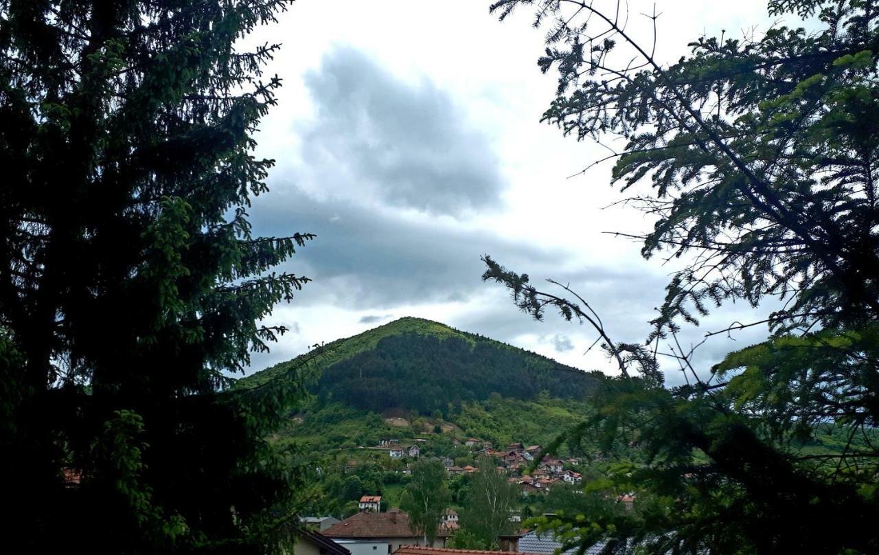 Obiteljski Apartman Borovi ヴィソコ エクステリア 写真